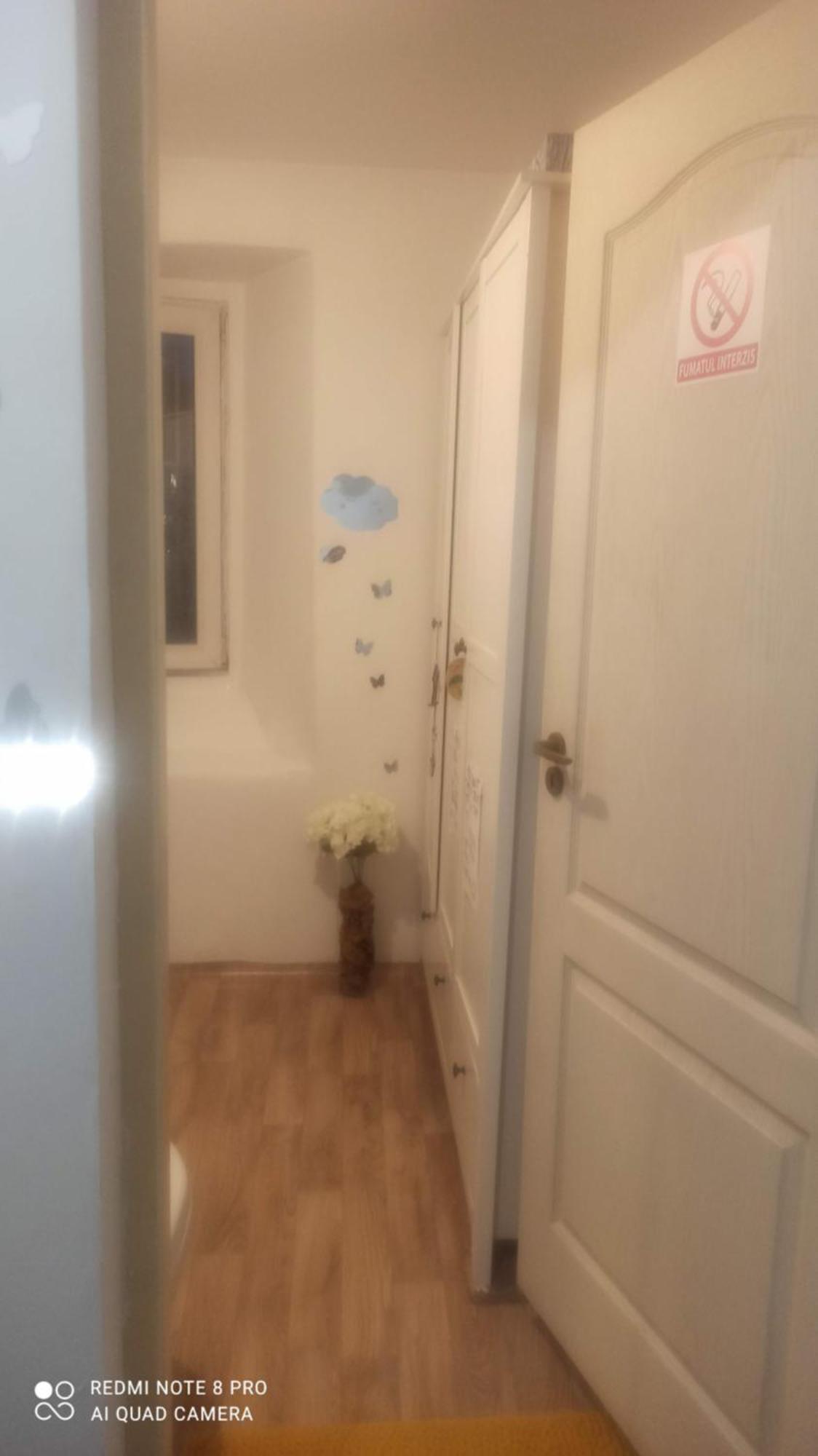 Studio Pe Somes Cluj-Napoca Buitenkant foto