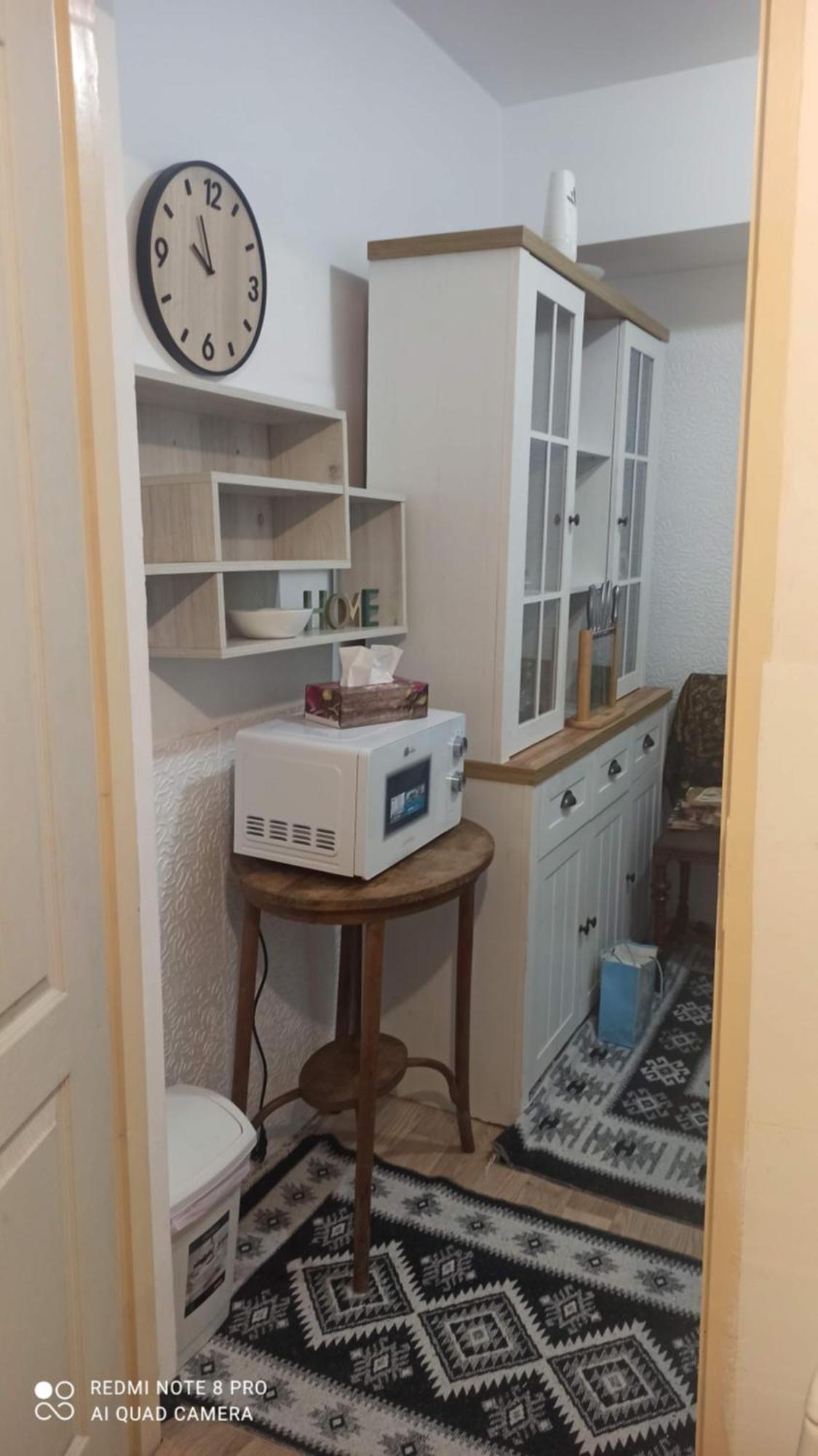Studio Pe Somes Cluj-Napoca Buitenkant foto